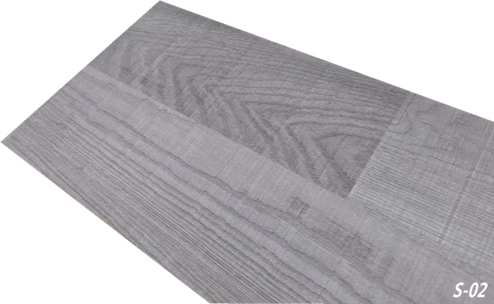S-02_.jpg