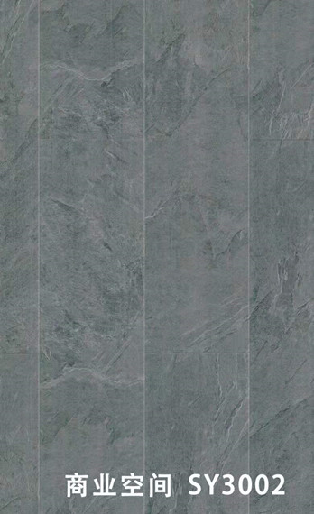 SY3002.jpg
